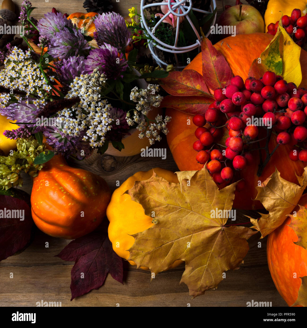 Herbst orange Kürbis, Rowan Berry, cklappen Sie den Ständer leicht zurück, weißen Blüten und im Herbst maple leaf Stockfoto