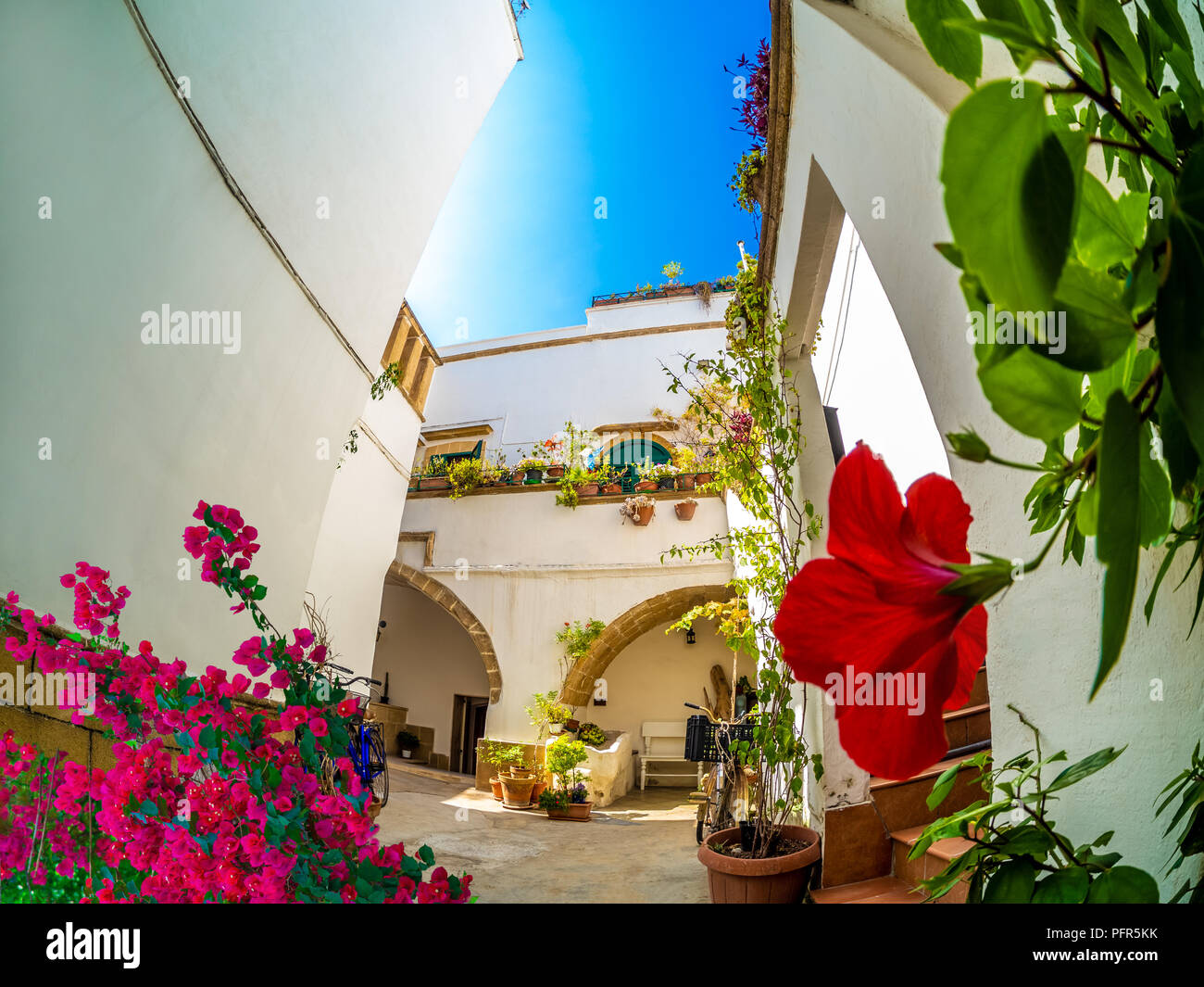 Traditionelle weiße Haus mit Garten und Blumen auf dem Balkon in Gallipoli, Apulien - Italien Stockfoto