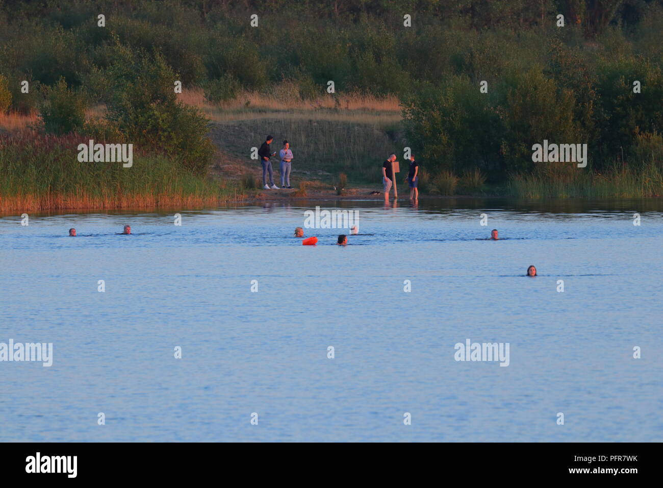 Schwimmer in einem See am RSPB St Aidan's Nature Park in der Nähe von Leeds auf einen Sommer am Abend, wenn die Sonne beginnt zu setzen. Stockfoto