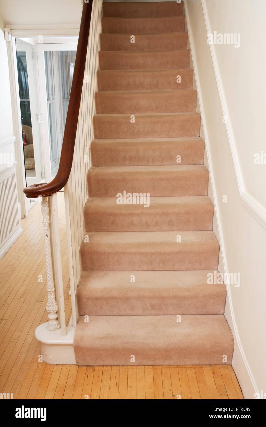 Teppichboden Treppe im Flur des Hauses mit Holzboden Stockfoto