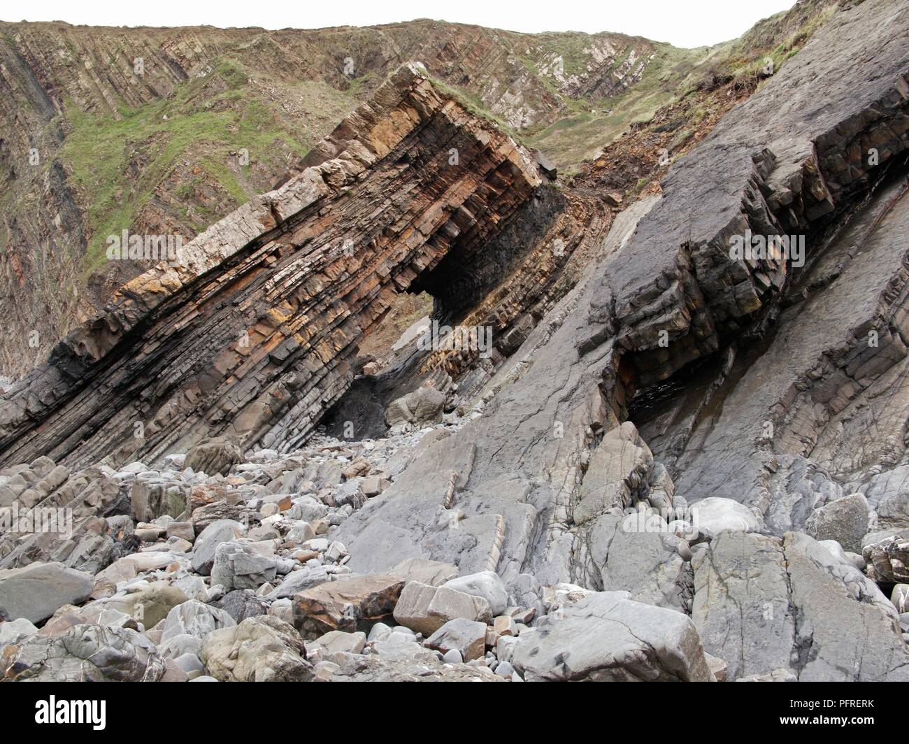 England, Devon, Hartland Quay, Teil der Crackington Bildung auf die Küste Stockfoto