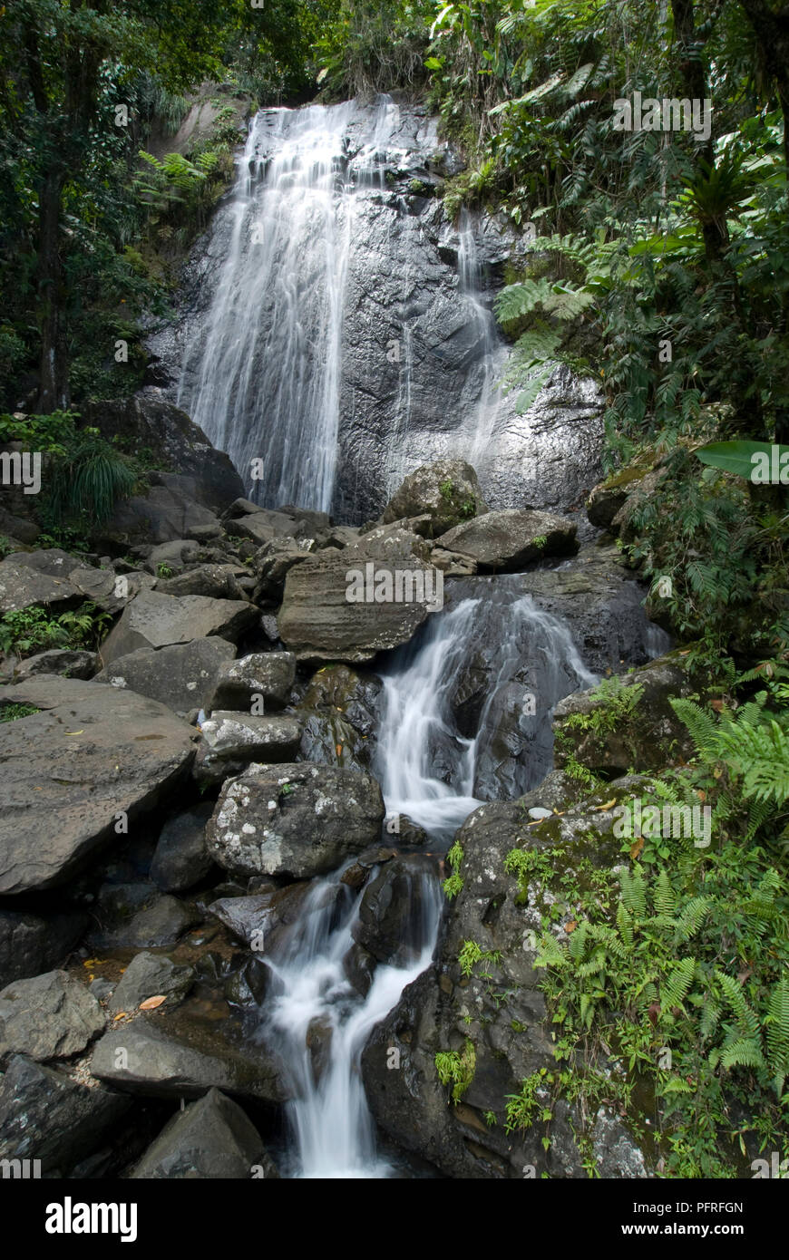 Puerto Rico, El Yunque National Forest, La Coca Wasserfall Stockfoto
