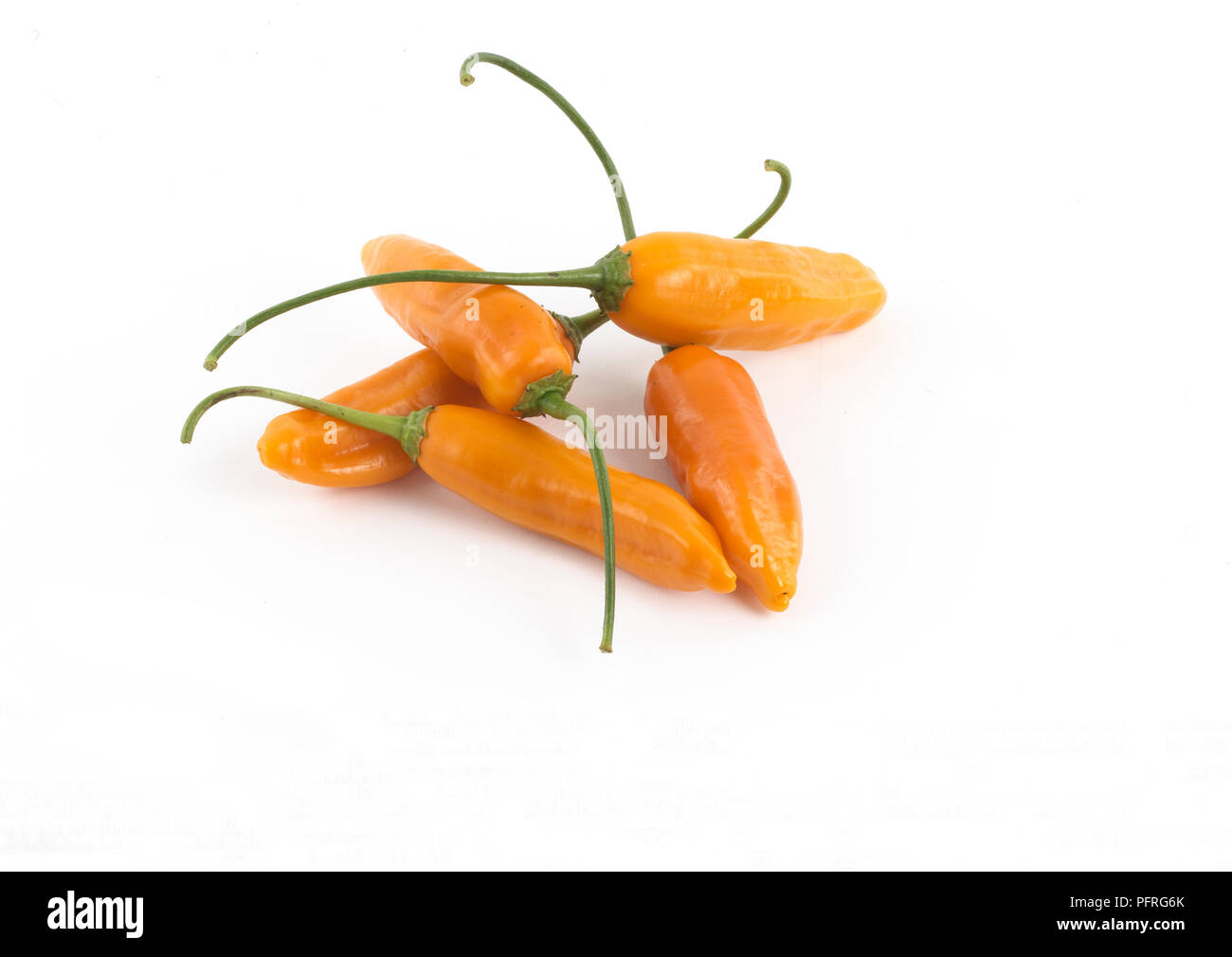 Orange Aji Amarillo chili peppers mit langen grünen Stengel Stockfoto