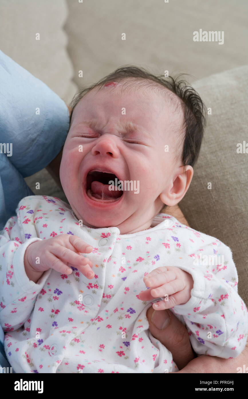Sechs Wochen alten Säugling in die Arme des Vaters schreien Stockfoto