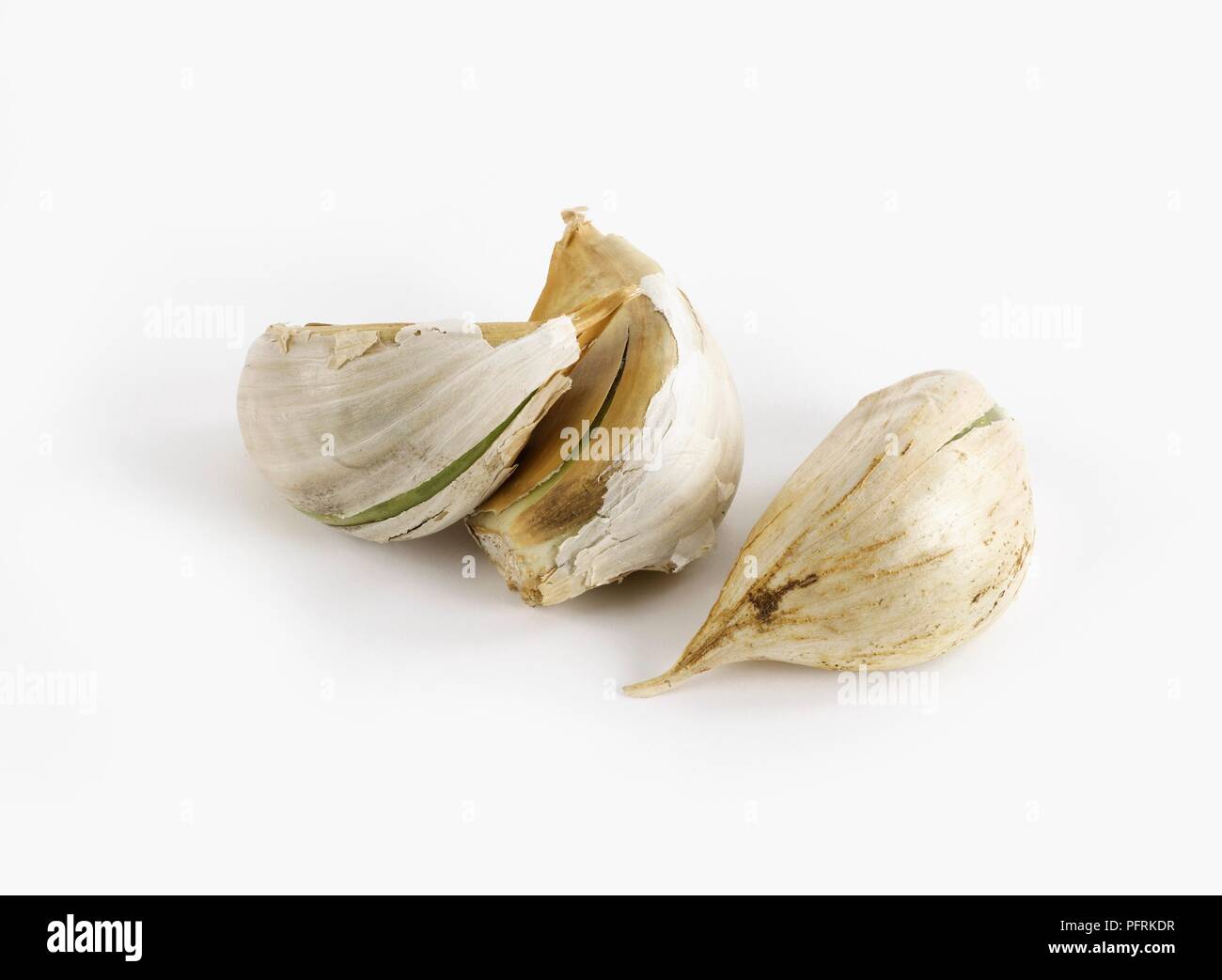 Drei Allium ampeloprasum var. Ampeloprasum (Elefant Knoblauch) Stockfoto