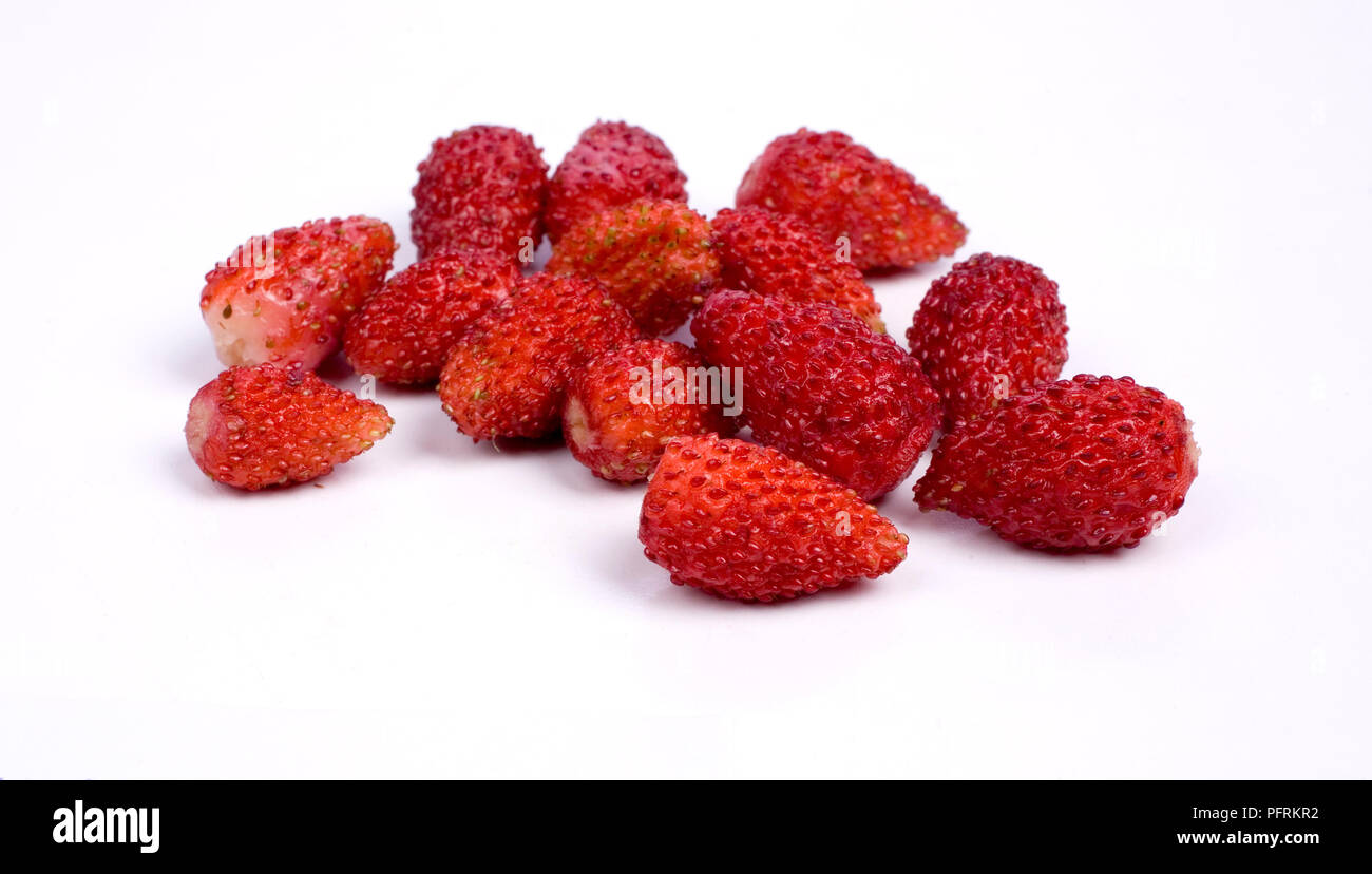 Wilde Erdbeeren Stockfoto