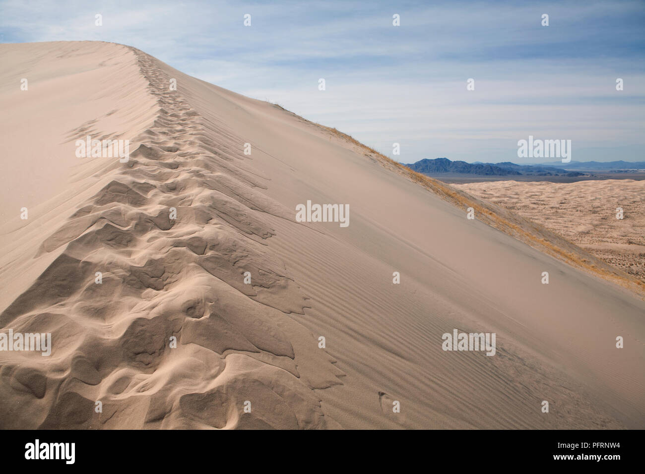 USA, Kalifornien, Mojave National Preserve, Fußabdrücke auf Kelso Dunes (Kelso Dünenfeld) Stockfoto