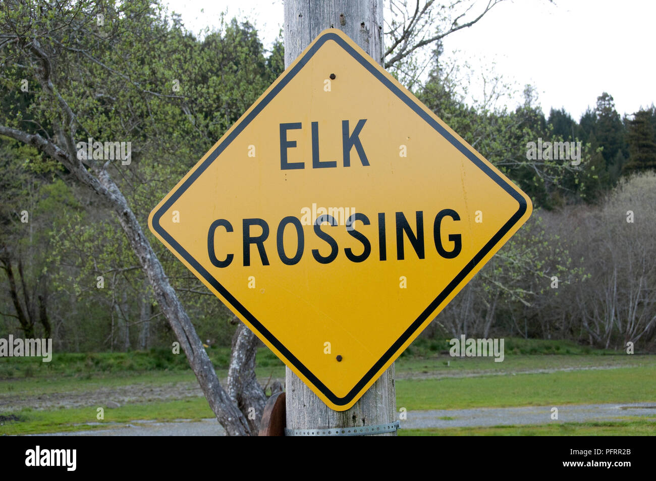 USA, Kalifornien, Humboldt County, Prairie Creek Redwoods State Park, Elch crossing Sign Stockfoto