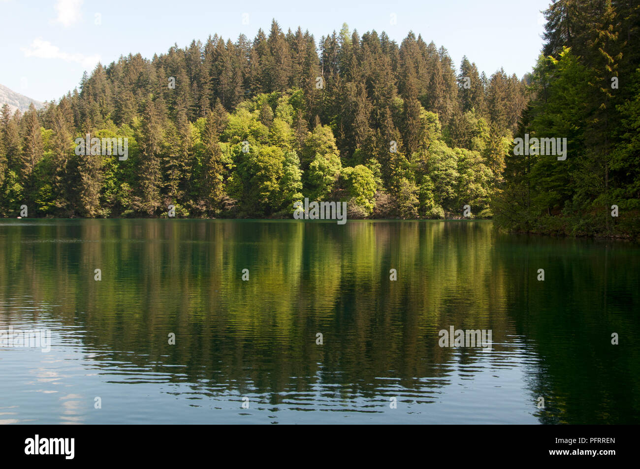 Italien, Trentino, Parco Naturale Adamello Brenta, Lago di Tovel (Lake Tovel) mit der Brenta Dolomiten Stockfoto