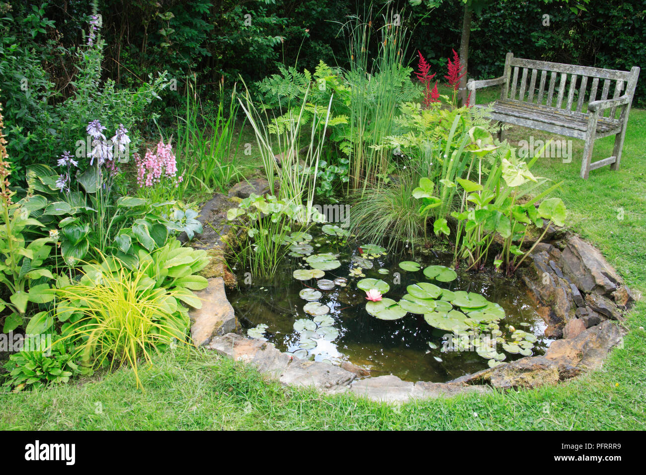 Kleiner gartenteich Fotos und Bildmaterial in hoher Auflösung Alamy