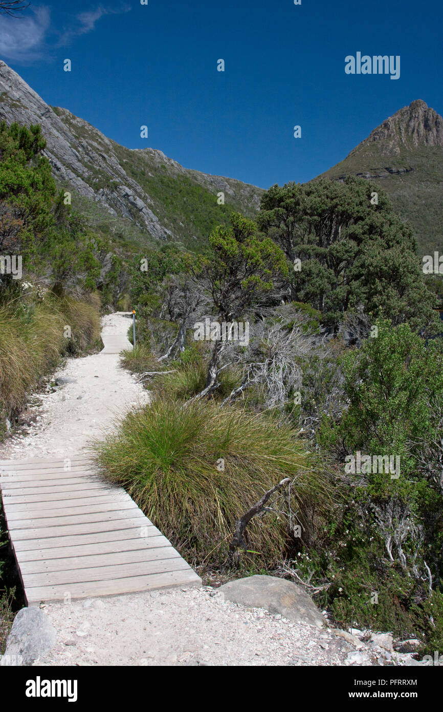 Australien, Tasmanien, Cradle Mountain und Dove Lake, Wanderweg Stockfoto