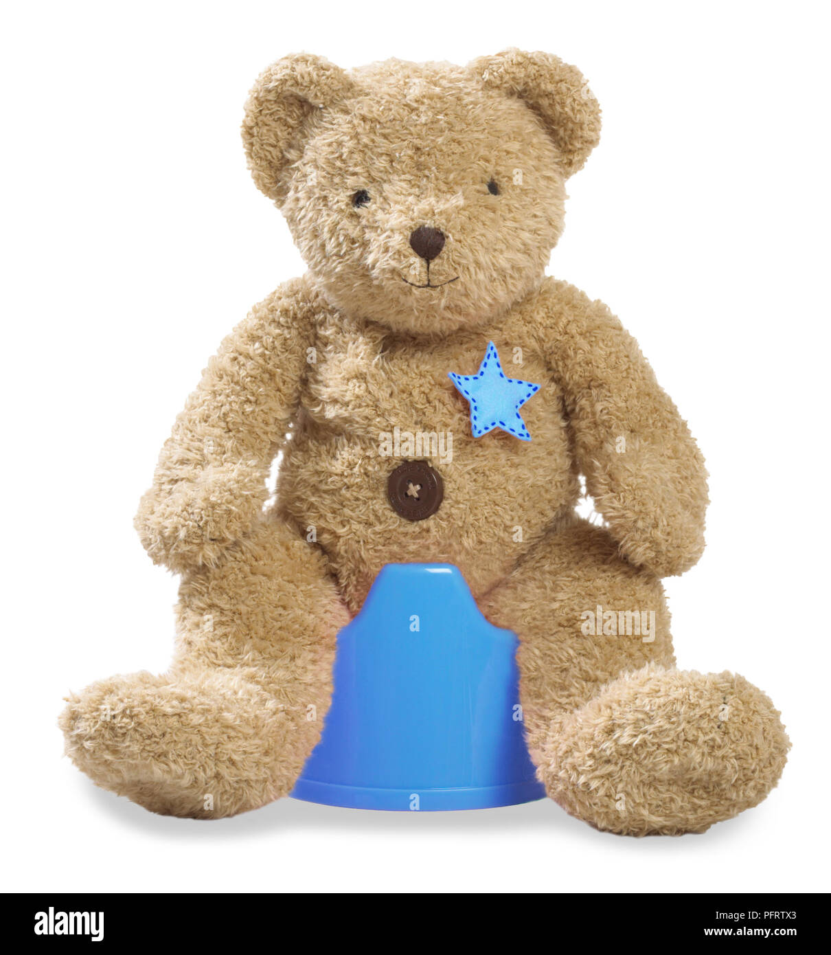 Teddy sitzt auf Blau Töpfchen Stockfoto