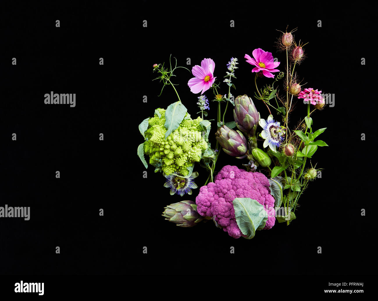 Auswahl der biodynamischen Blumen und Pflanzen einschließlich Blumenkohl/Karfiol und Artischocken Stockfoto