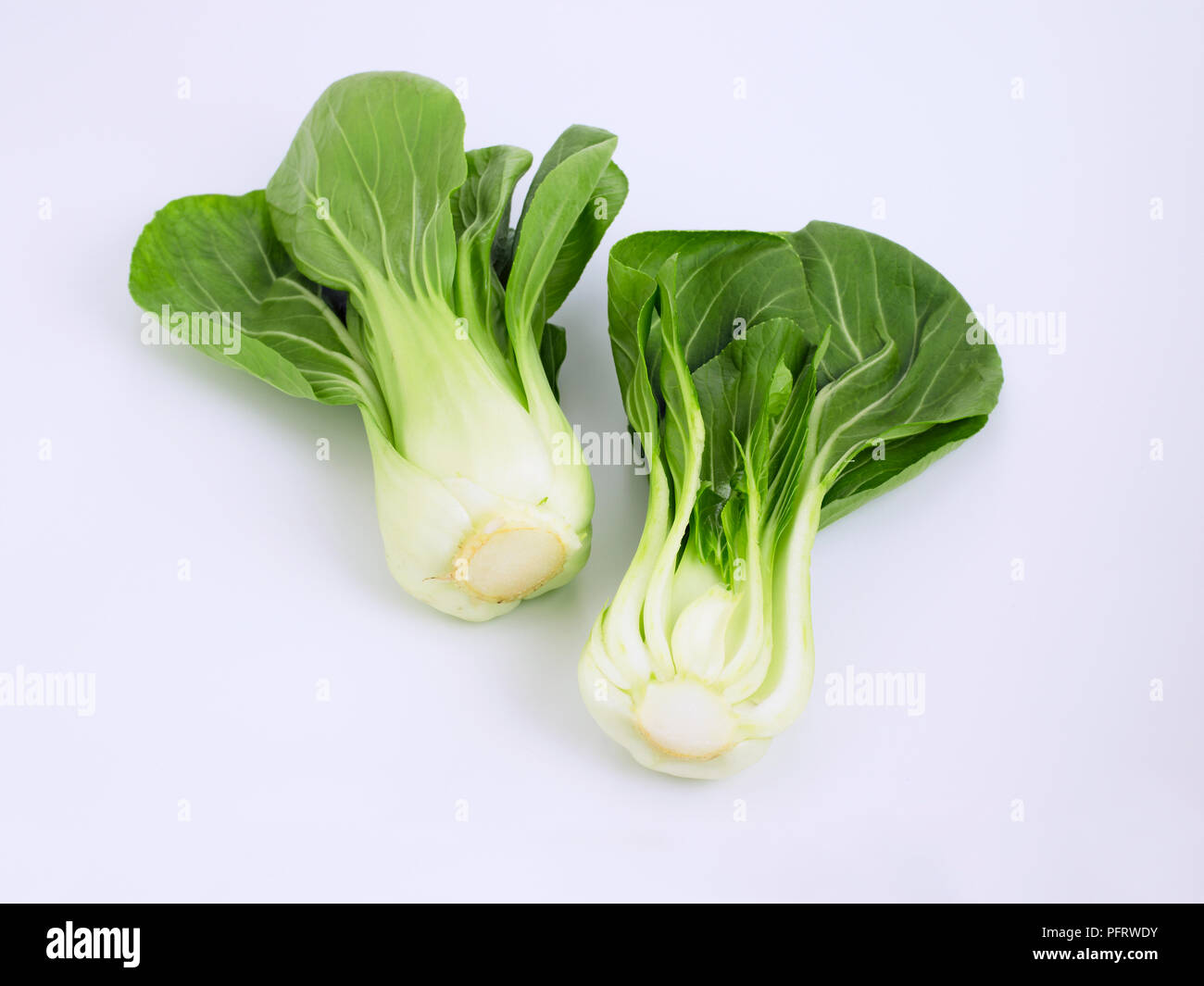 Chinakohl oder Bok Choy (Brassica rapa) Stockfoto