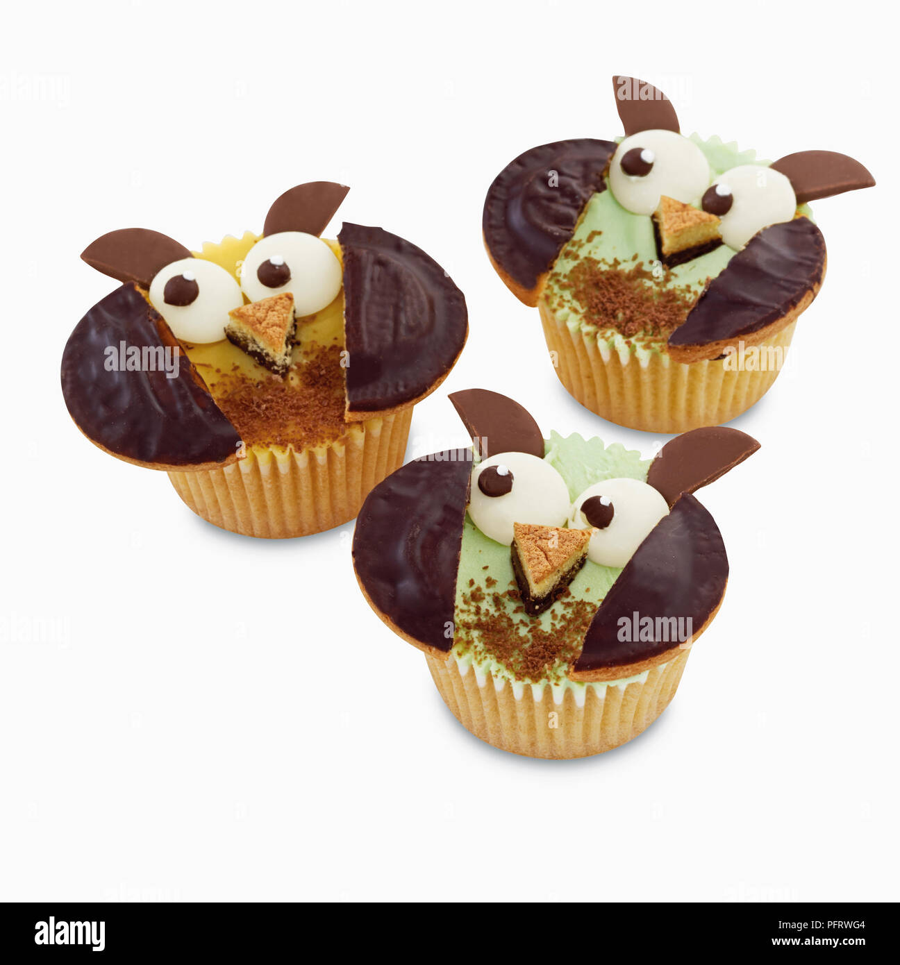 Eule Cupcakes Stockfoto