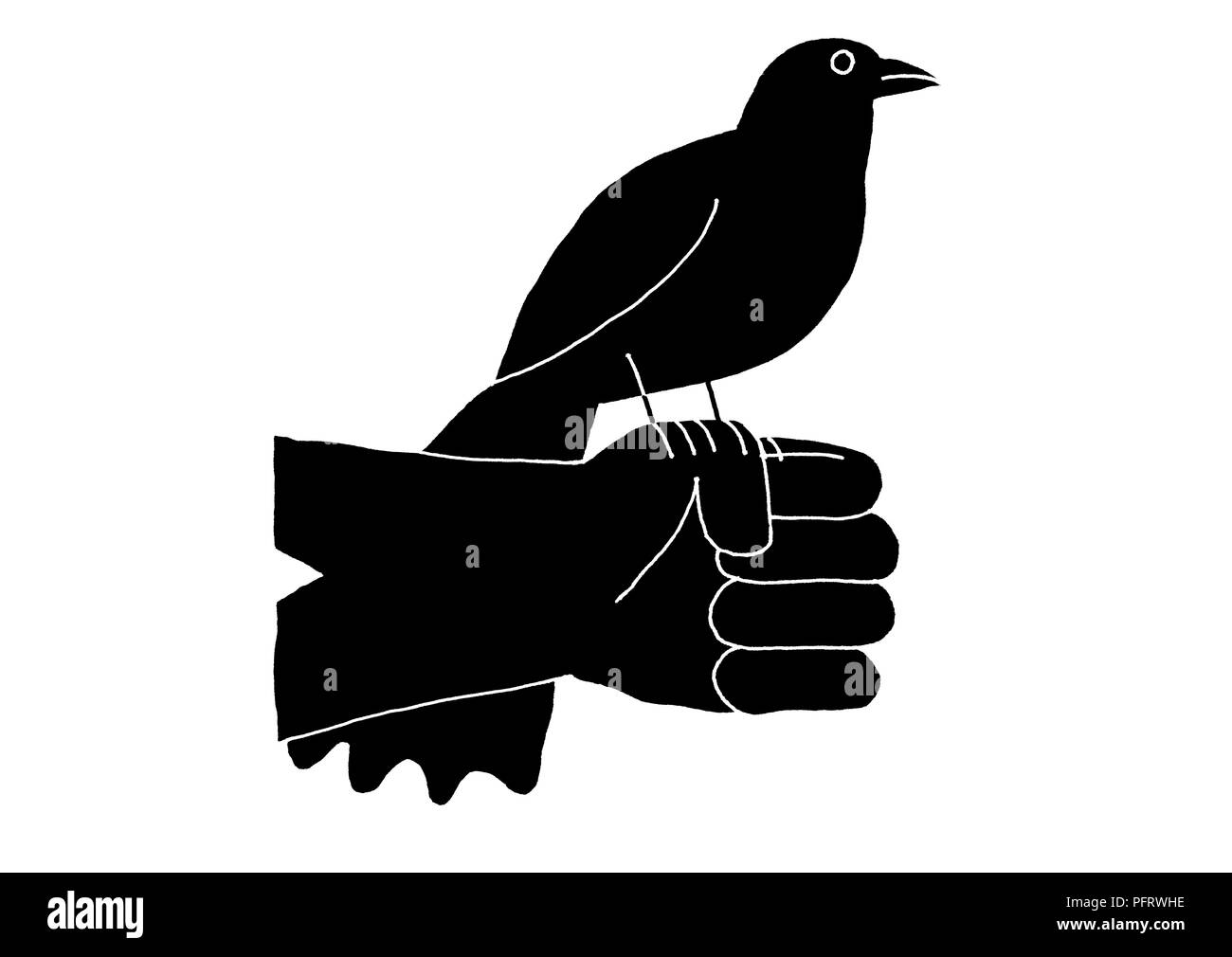 Zahme Vogel ruht auf Handschuh Stockfoto