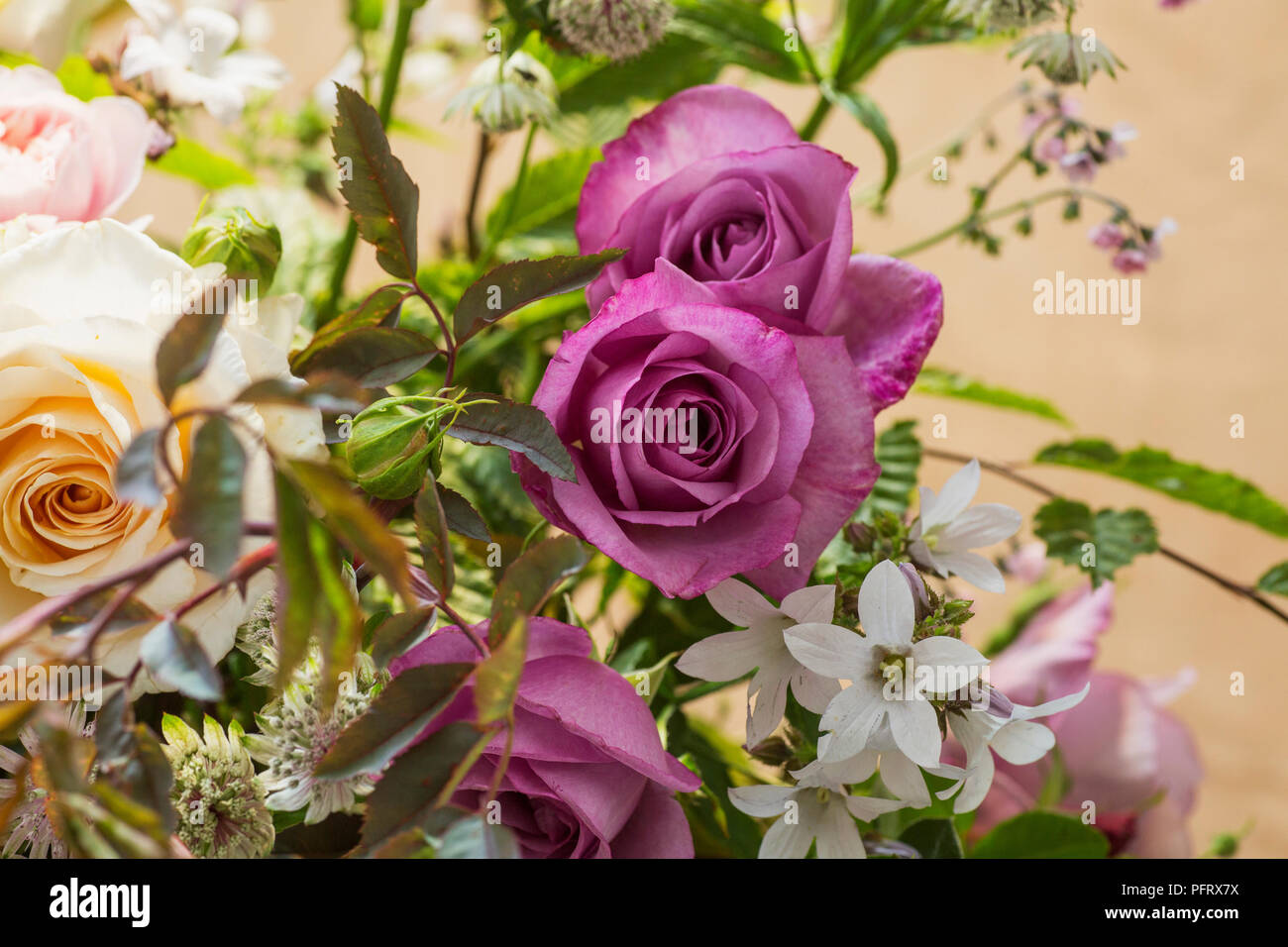 Rose Blumen-arrangement Stockfoto