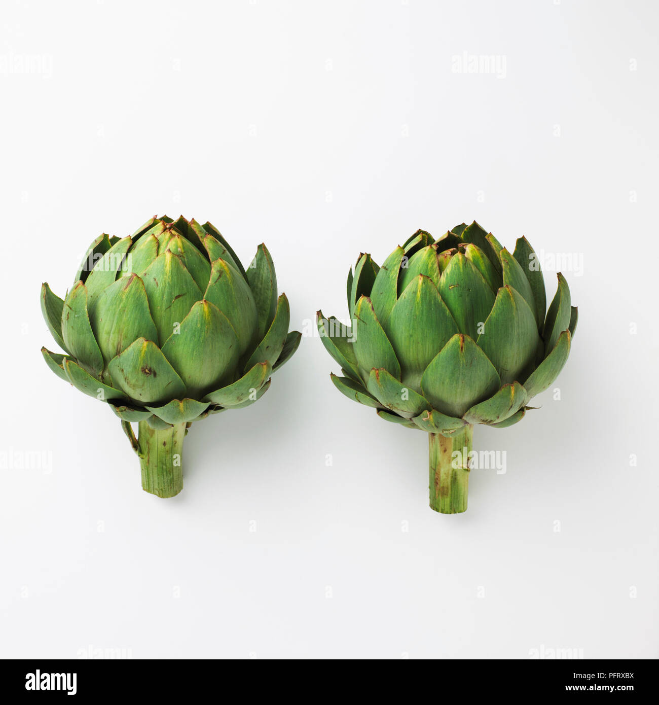 Artischocke auf Anzeige Stockfoto