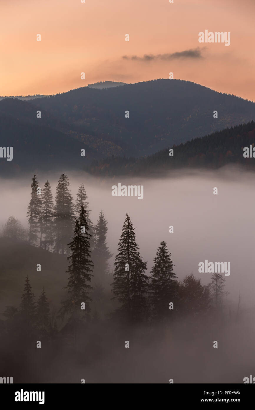 Schönen Herbst Landschaft am frühen Morgen in den Karpaten, in der Ukraine. Stockfoto