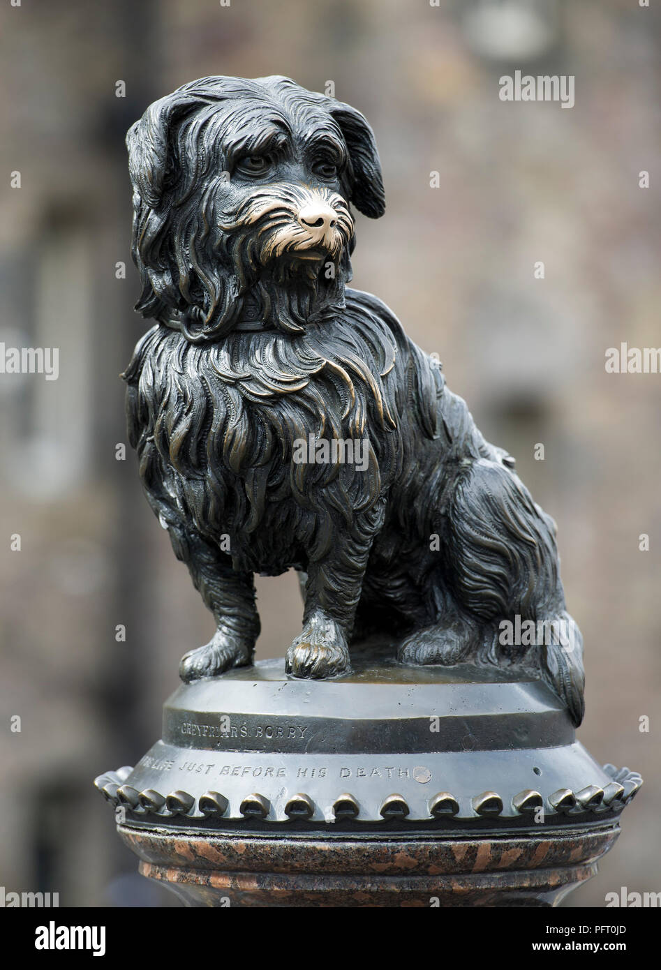 Greyfriars Bobby Statue auf George IV Bridge, Edinburgh, Schottland Stockfoto