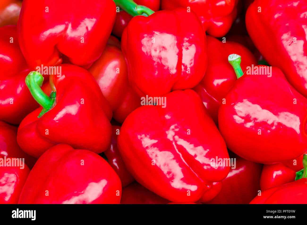 Rote Paprika auf einer Theke im Supermarkt. Eine große Anzahl von Paprika in einem Haufen. Stockfoto