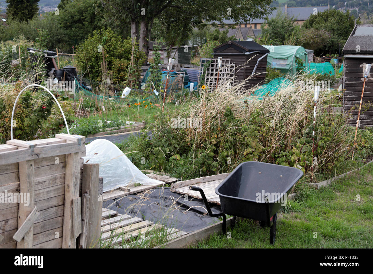 Zuteilungen im Oldfield Park, im Whirlpool, Somerset, England Großbritannien Stockfoto