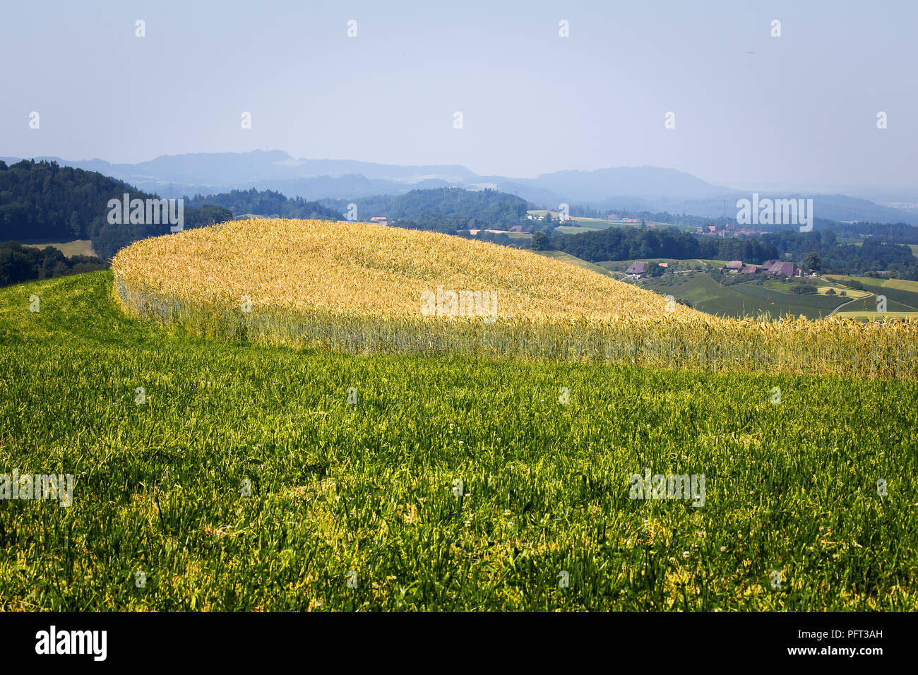 Landschaft im Emmental (berühmt für Käse), Schweiz. Stockfoto