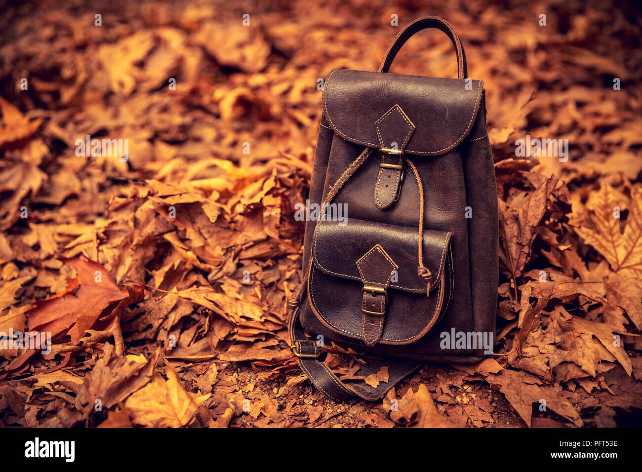 Elegantes Leder braun Rucksack auf den Boden mit alten trockenen Baum Blätter in den Park bedeckt, aktiven Tourismus im Herbst Jahreszeit, zurück in die Schule Konzept Stockfoto