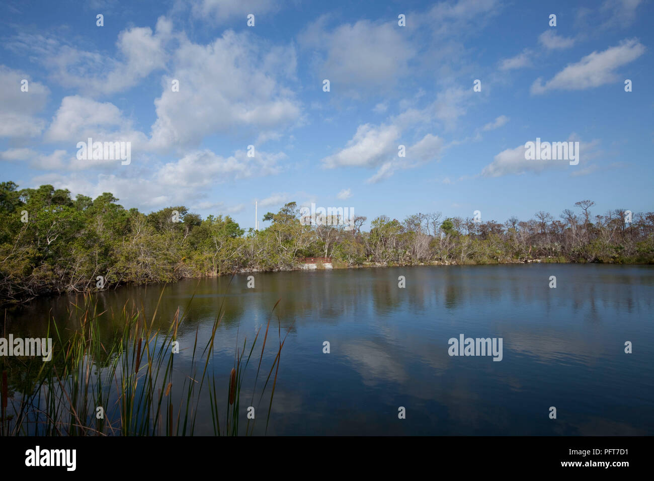 USA, Florida, Florida Keys Inseln, Big Pine Key, das Blue Hole, See Stockfoto