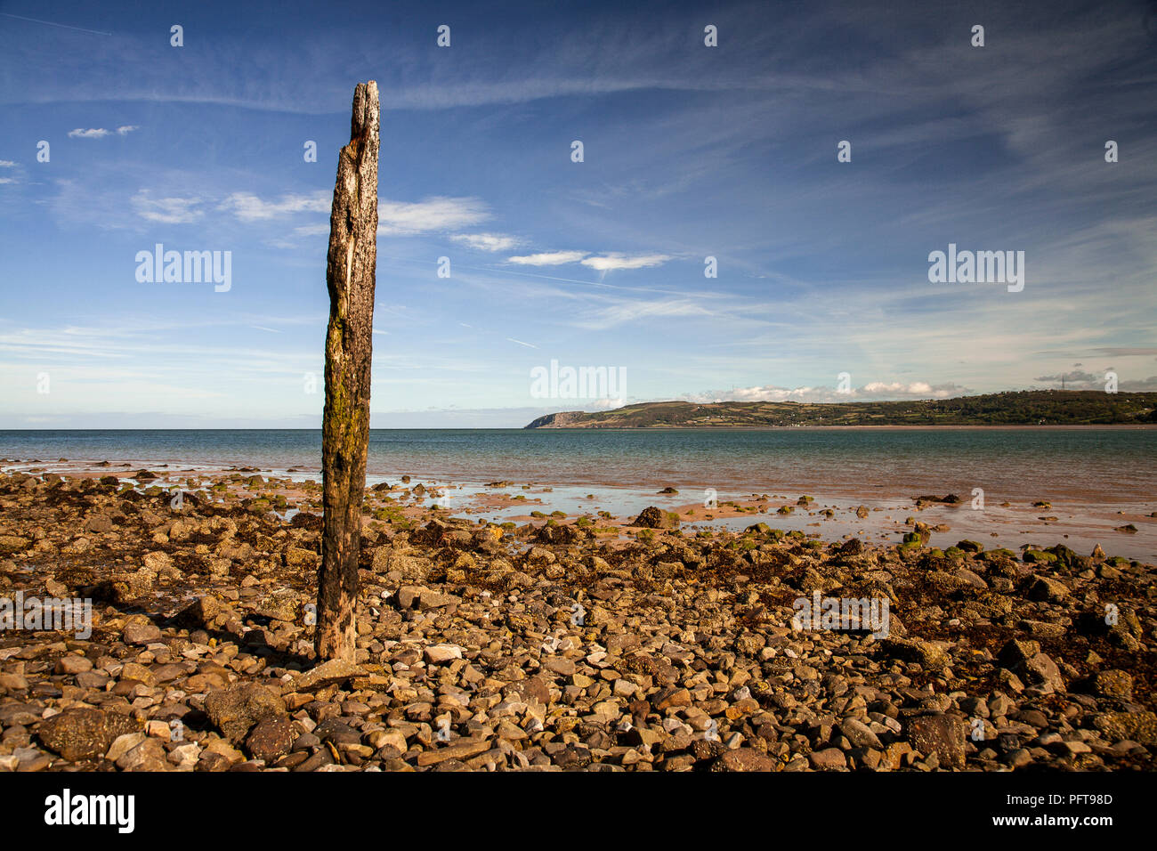 Verfallende hölzernen Pfosten bei Red Wharf Bay, Anglesey an der Küste von Nordwales Stockfoto