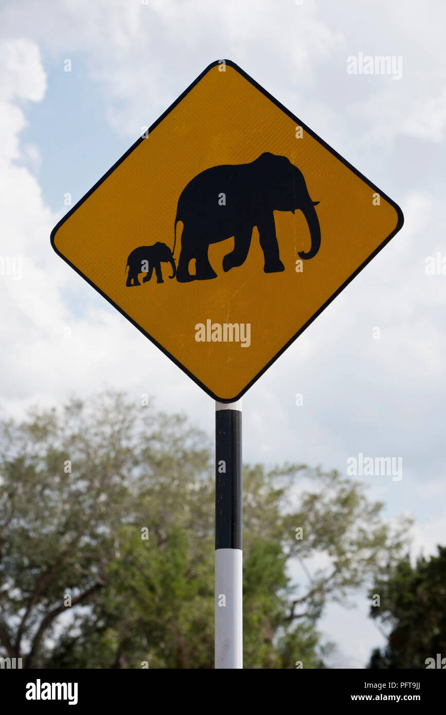 Sri Lanka, Nordrhein-Westfalen, Pothuvil, Elephant Crossing sign Stockfoto