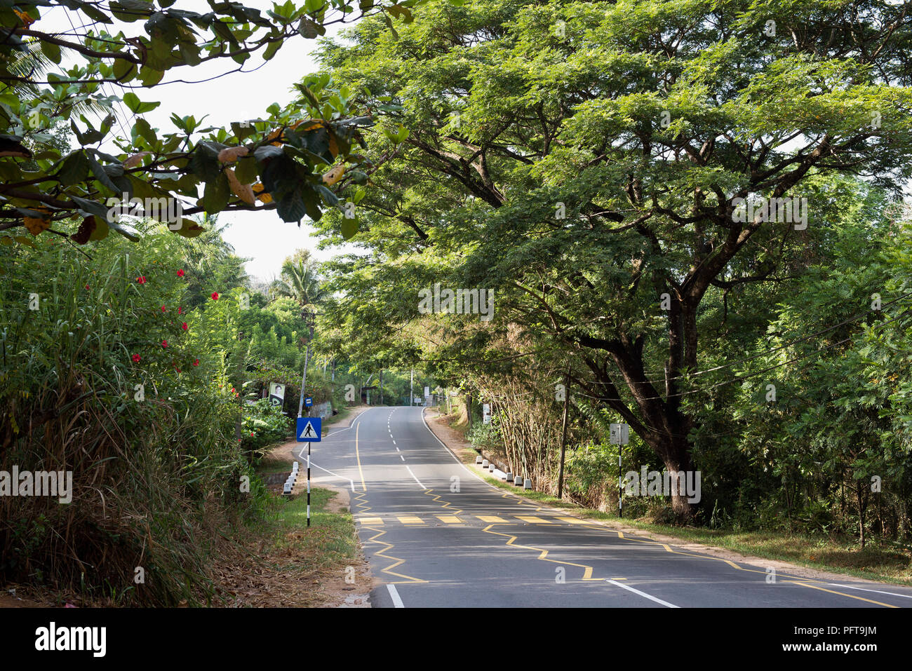 Sri Lanka, Provinz Uva, leere Straße Stockfoto