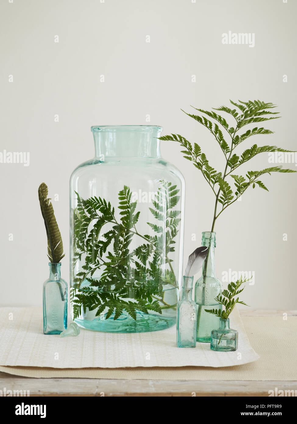 kaffeepflanze im glas Flaschengarten Jar DIY  Mini-kosystem  Greenery Living