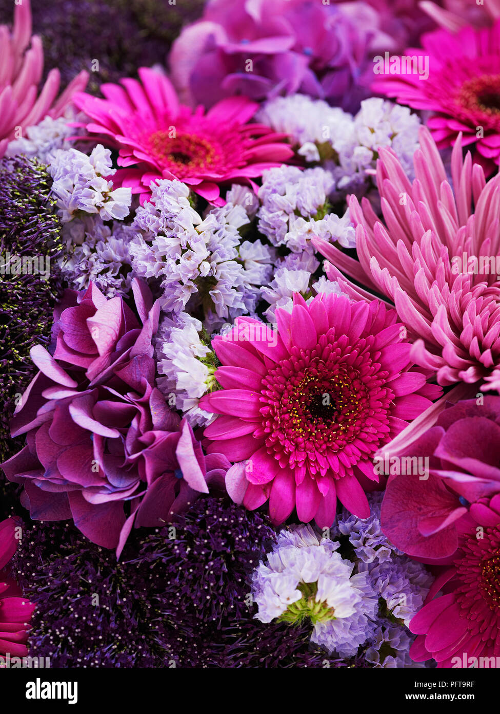 Lila Blumenarrangements, germini, Chrysantheme, trachelium, statice Stockfoto