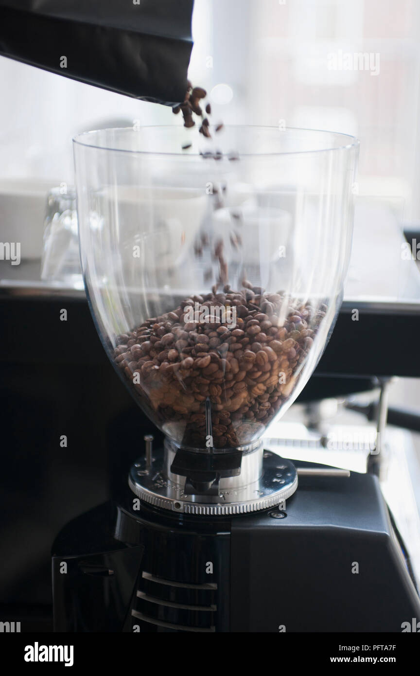 Füllen eine Espressomaschine mit Kaffeebohnen Stockfoto