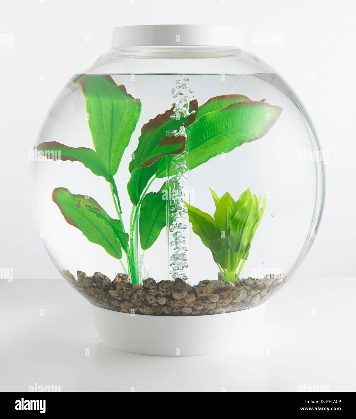 Goldfischglas mit künstlichen Pflanzen Stockfoto