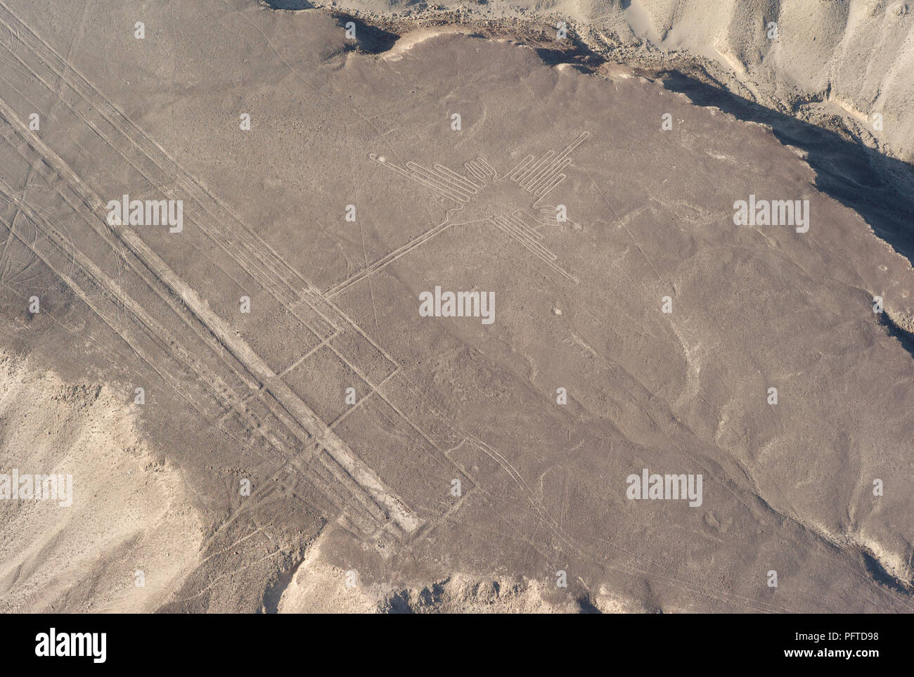 Luftaufnahme der Kolibri, Nazca Lines, Peru Stockfoto