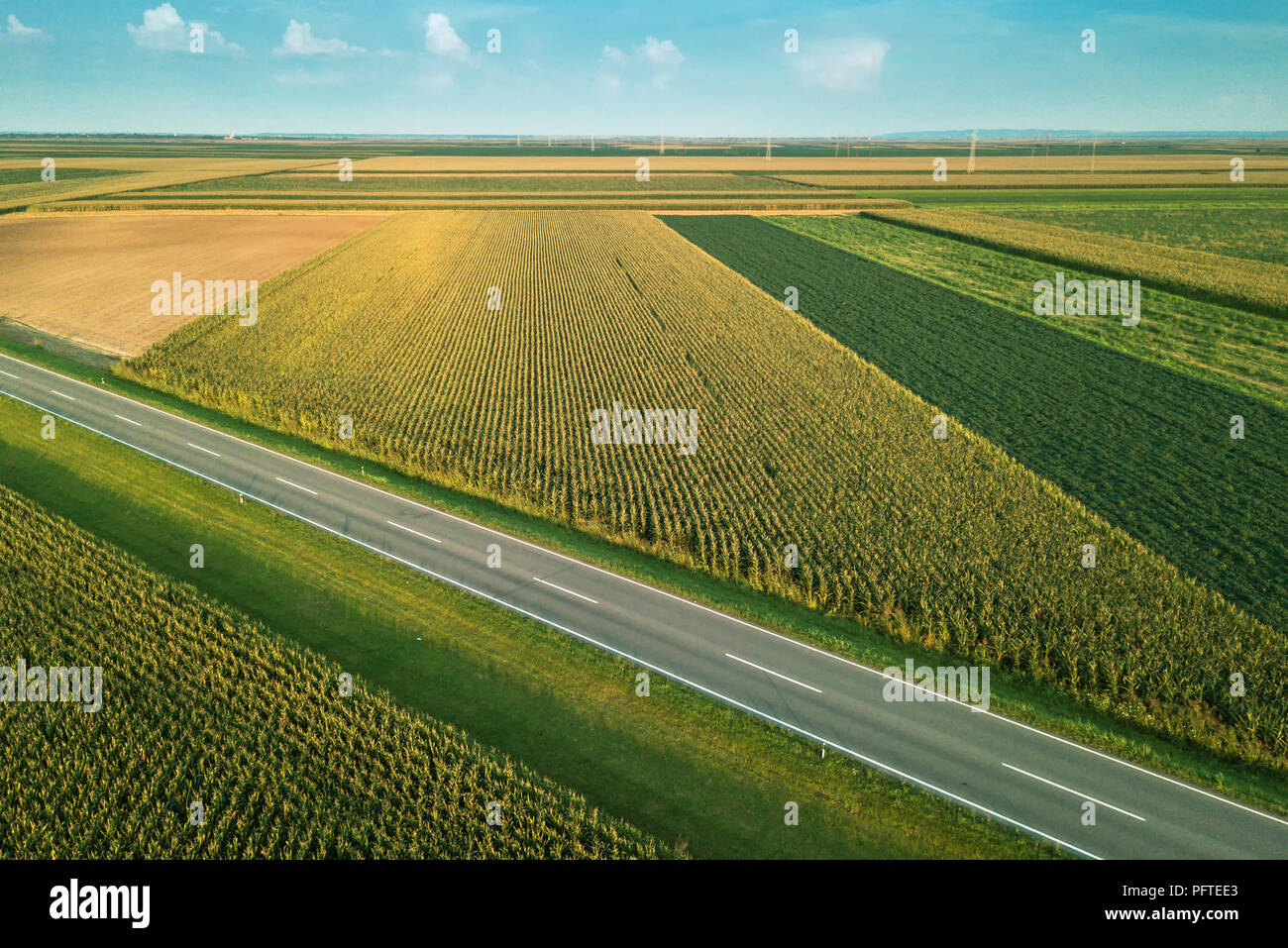 Luftaufnahme von zweispurigen Autobahn Straße durch Landschaft und kultivierten Feld von Mais im Sommer Sonnenuntergang Stockfoto