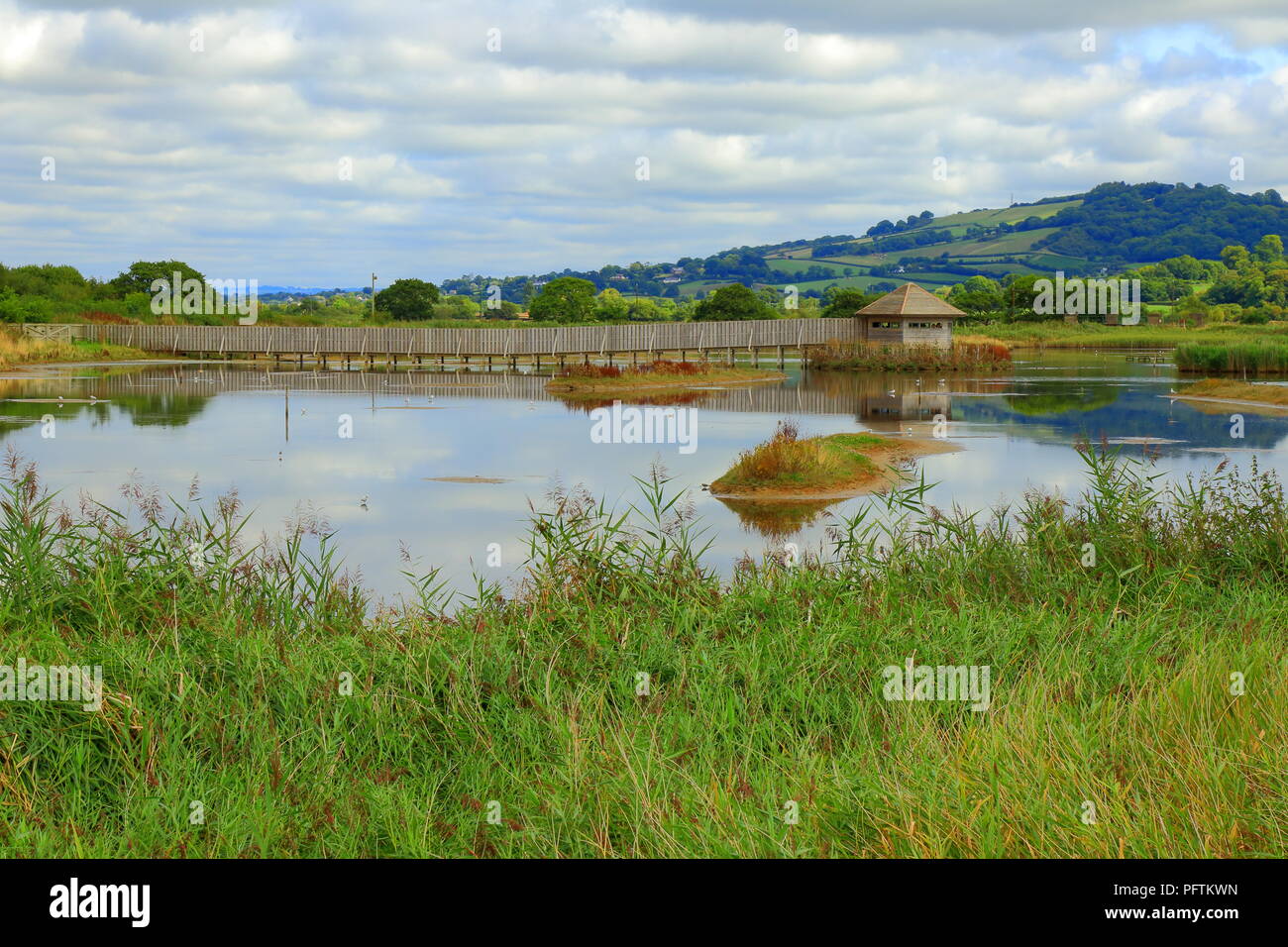 Schwarzes Loch Marsh Teil des Seaton Feuchtgebiete Naturschutzgebiet im East Devon Stockfoto