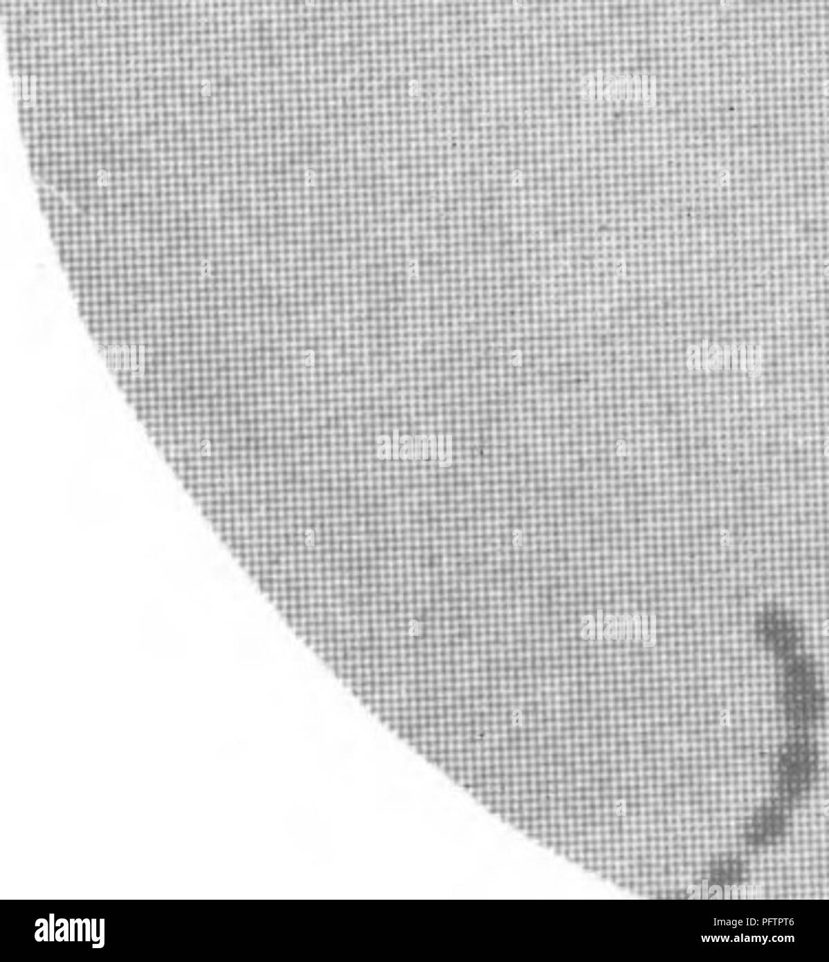 Diese Studie untersucht die Rolle von Bakterien für die Bodenfruchtbarkeit und hebt deren Einfluss auf die Zersetzung von organischem Material und den Nährstoffkreislauf hervor. Bakterien, wie Diplokokken und Streptokokken, sind für die Erhaltung der Bodengesundheit und die Förderung des Pflanzenwachstums durch ihre biologischen Prozesse unerlässlich. Stockfoto