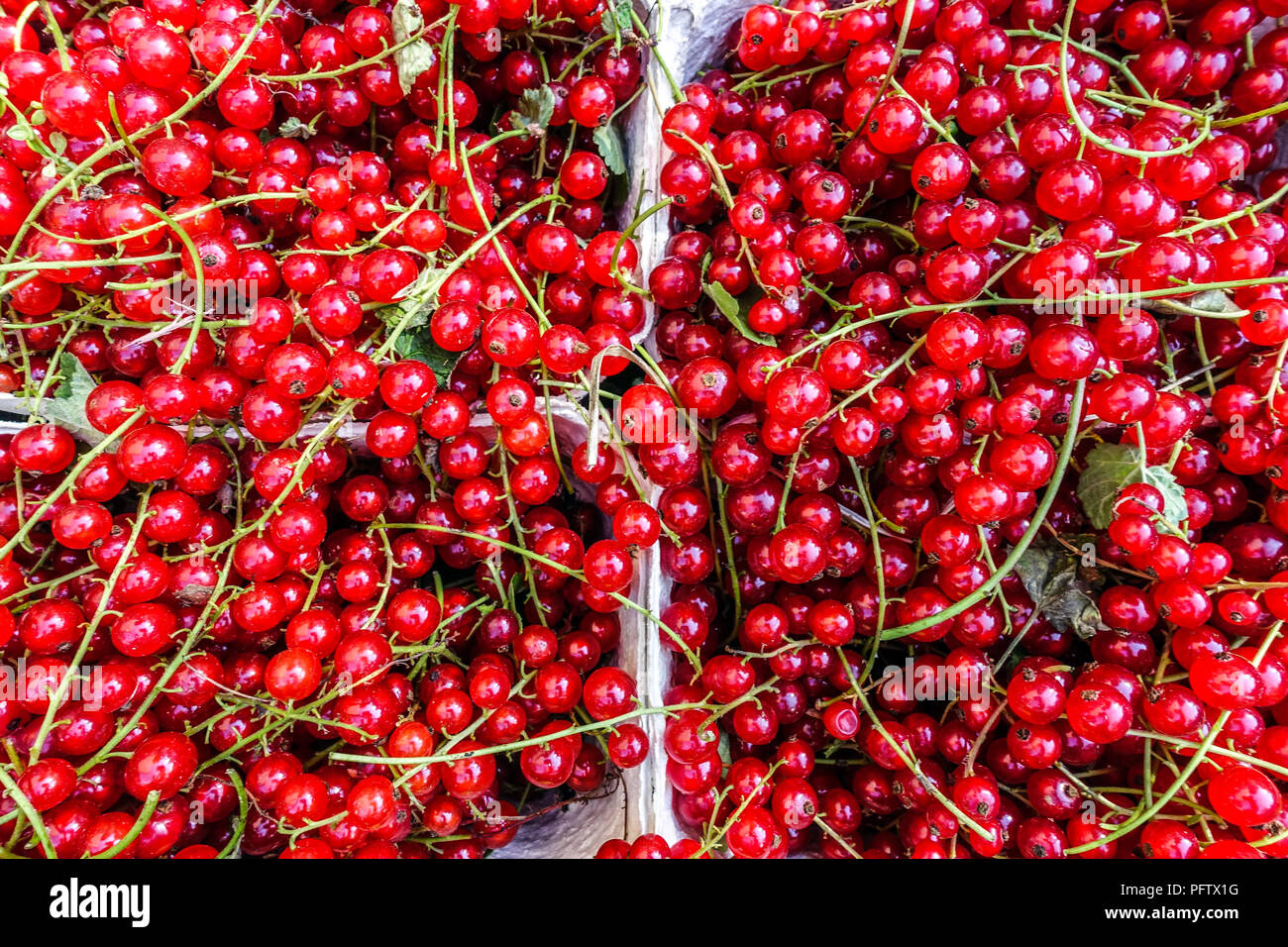 Rote Johannisbeeren in Farmer's Market Stockfoto