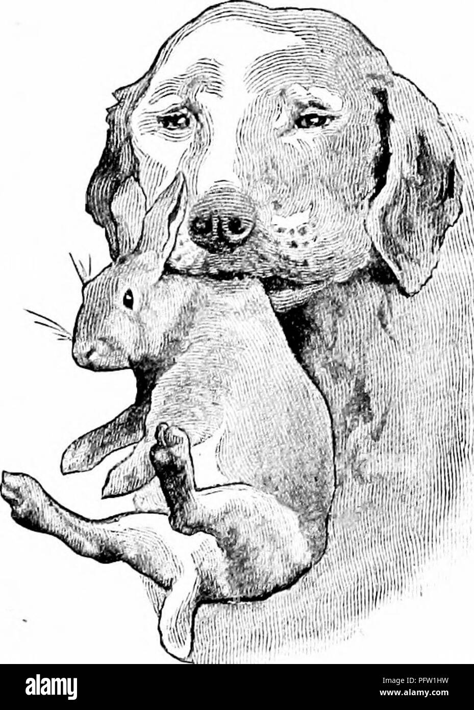Bescheiden Und Schüchtern, So Zeigt Sie Mir Ihren Braunen Schönen Körper. Bescheiden Und Schüchtern, So Zeigt Sie Mir Ihren Braunen Schönen Körper.