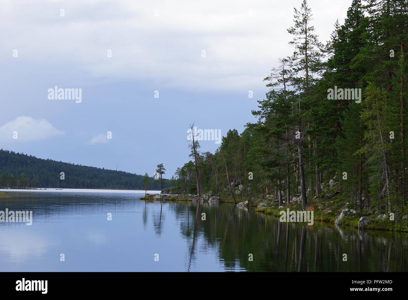 Ruhige See und Wald in Lappland, Finnland. Stockfoto