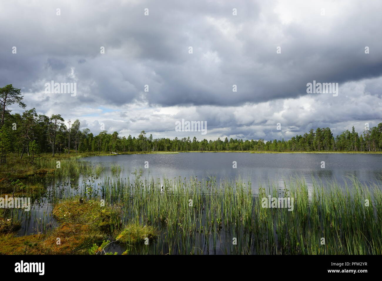 Dunkle Wolken über dem ruhigen See im Sommer, Lappland, Finnland Stockfoto