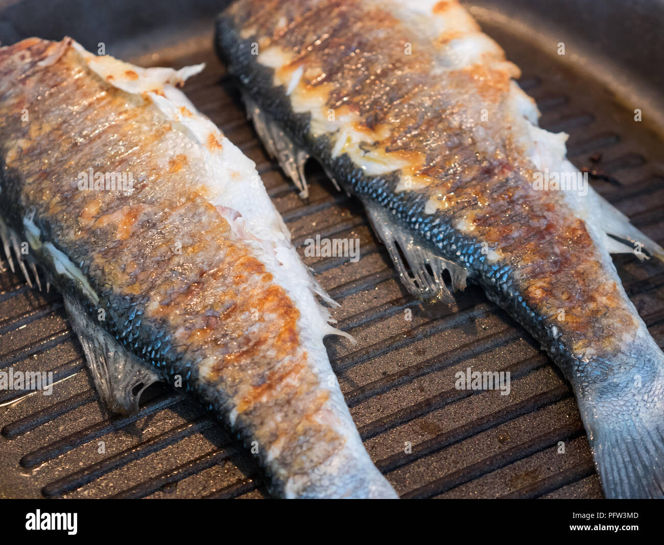 Ganze Wolfsbarsch Fisch kochen auf heißen Grill Pfanne Stockfoto