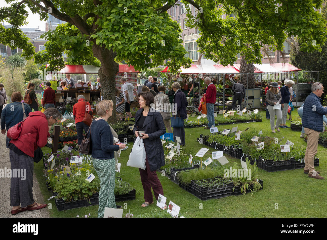 Leiden, Niederlande - 12. Mai 2018: Jährliche Blumenmarkt mit besonderen Pflanzen in der Hortus Botanicus Stockfoto