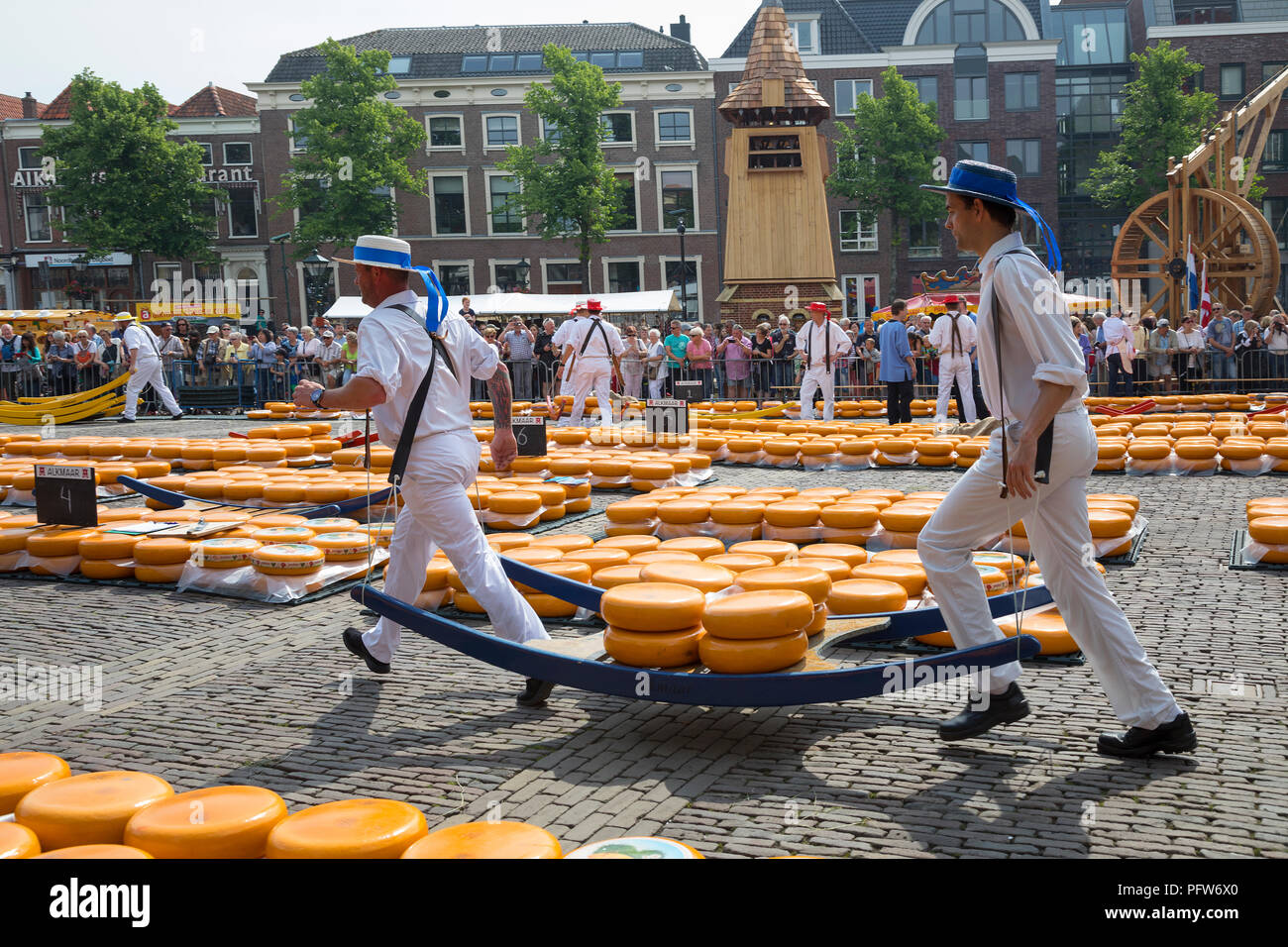 Alkmaar, Niederlande - Juni 01, 2018: Traditionelle Luftfahrtunternehmen Käse Käse auf einem hölzernen Bahre vor der Waag Gebäude während der Käse Stockfoto
