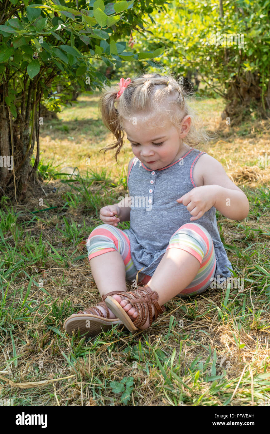 20 Monate altes Mädchen Spaß bewundern ihre Sandalen an einem U-Blueberry Farm Pick Stockfoto