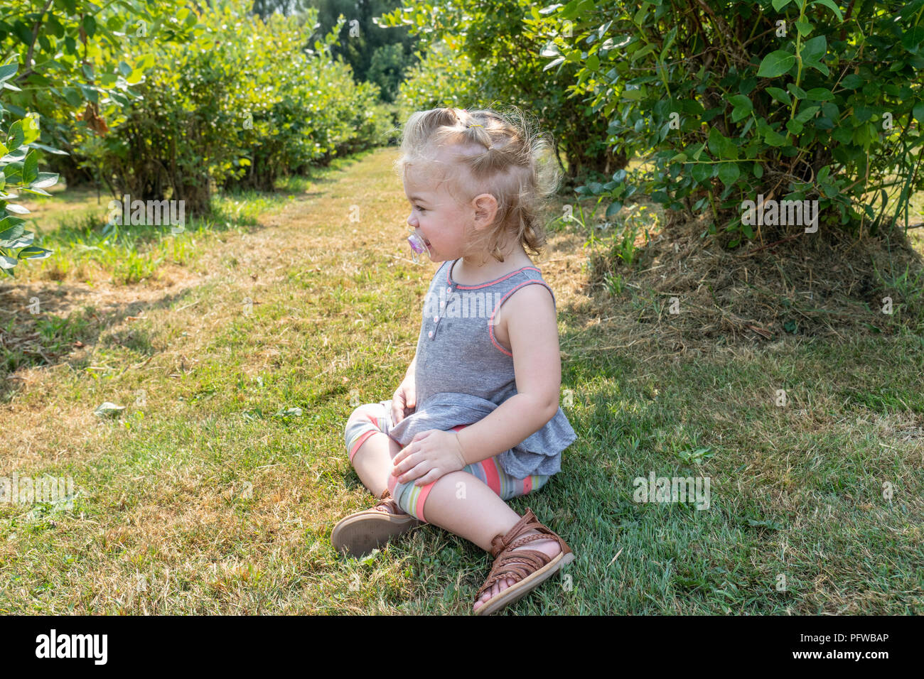 20 Monate alten Mädchens durch das grössenmass Posing Stockfoto