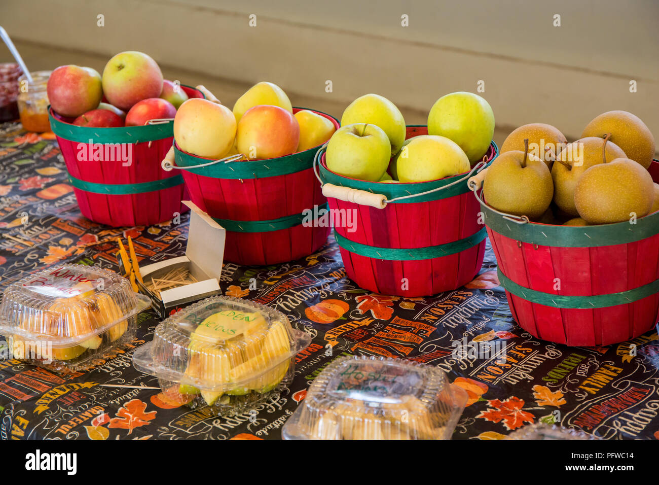 Hood River, Oregon, USA. Rom, Winter Banane, Golden Delicious äpfel und Asiatischen Hosui Birnen für die Probenahme an einem Obststand. Stockfoto